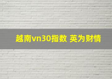 越南vn30指数 英为财情